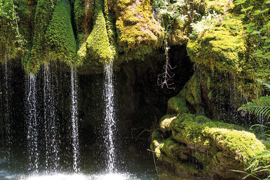 Oasi Cascate Capelli di Venere Casaletto Spartano (SA) Campania Bellezza del Creato Oasi Cascate Capelli di Venere Casaletto Spartano (SA) Campania Bellezza del Creato