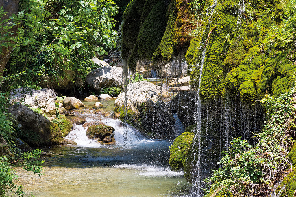 Oasi Cascate Capelli di Venere Casaletto Spartano (SA) Campania Bellezza del Creato Oasi Cascate Capelli di Venere Casaletto Spartano (SA) Campania Bellezza del Creato