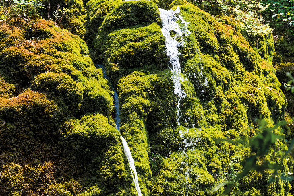 Oasi Cascate Capelli di Venere Casaletto Spartano (SA) Campania Bellezza del Creato Oasi Cascate Capelli di Venere Casaletto Spartano (SA) Campania Bellezza del Creato