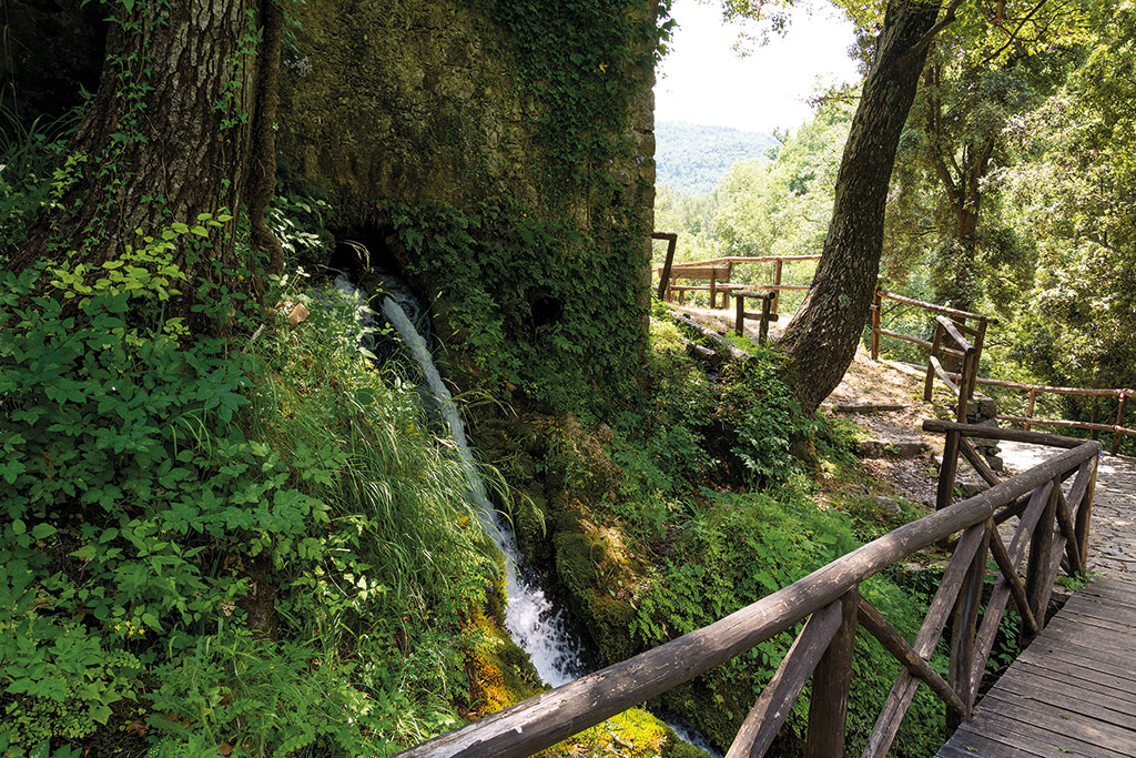Oasi Cascate Capelli di Venere Casaletto Spartano (SA) Campania Bellezza del Creato Oasi Cascate Capelli di Venere Casaletto Spartano (SA) Campania Bellezza del Creato