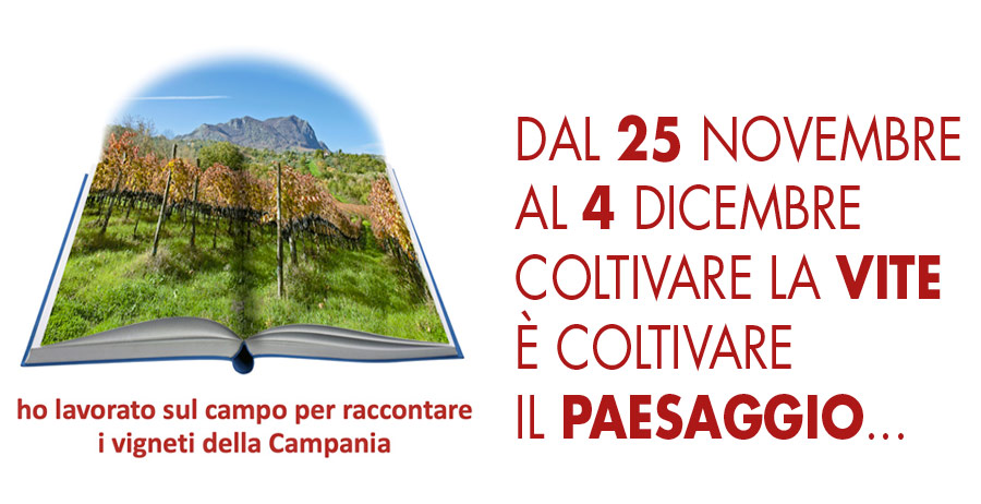 img-Coltivare-la-Vite-coltivare-il-paesaggio